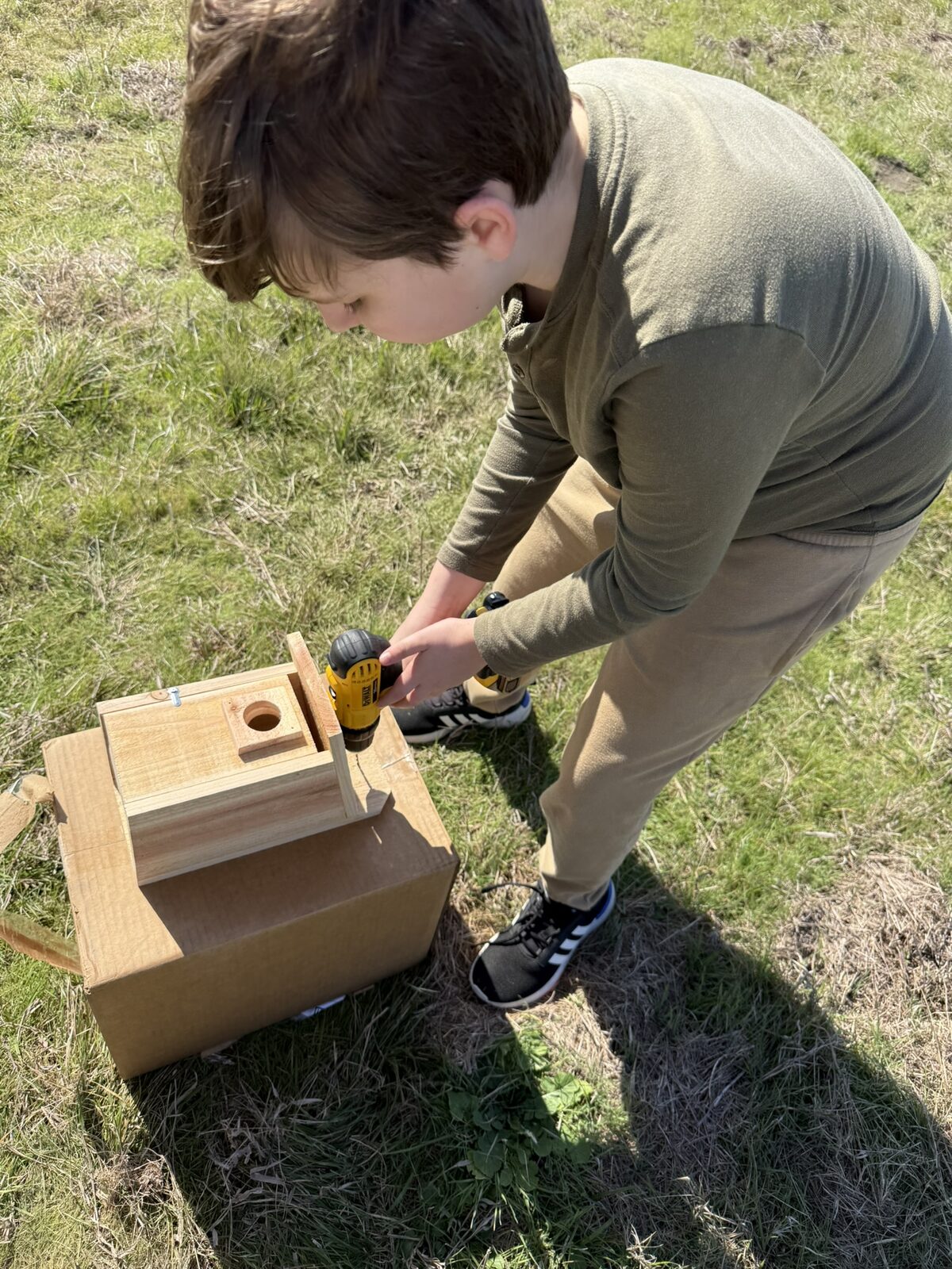 Building and installing a nest box